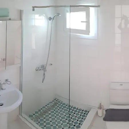 Anemona And Vasilikí