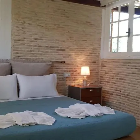 Anemona And Apartment