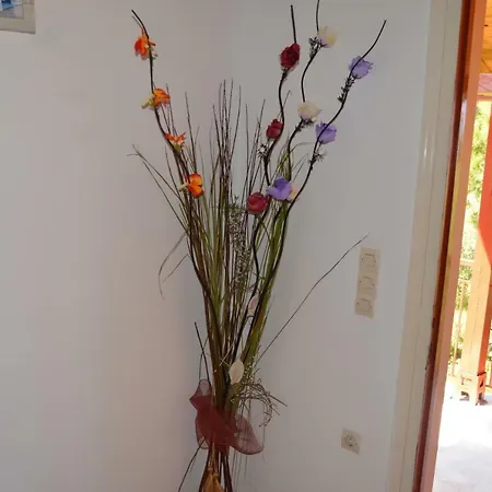 Anemona And Apartment *