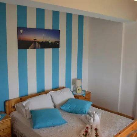 Anemona And Apartment