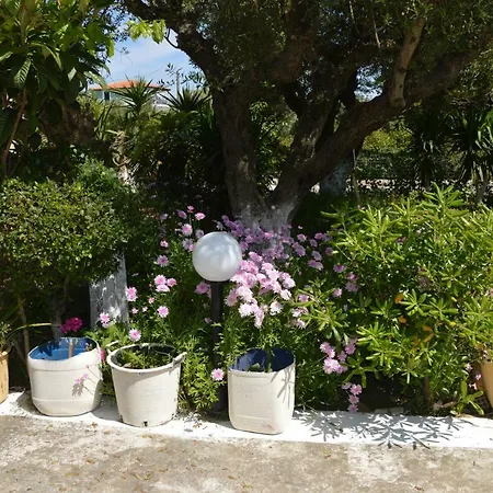 Anemona And Apartment *