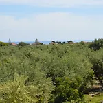 Anemona And Apartament