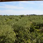 Apartament Anemona And *