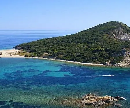 Anemona And Apartament