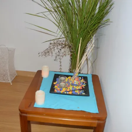 Anemona And Apartament