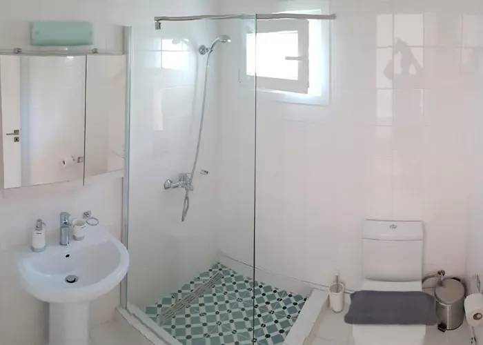 Anemona And Vasilikí