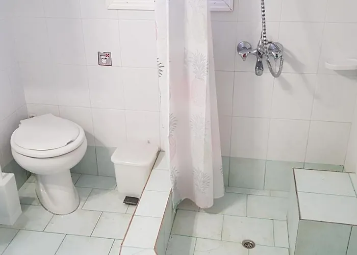 Anemona And Vasilikí