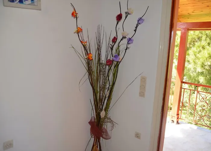 Anemona And Apartmán *