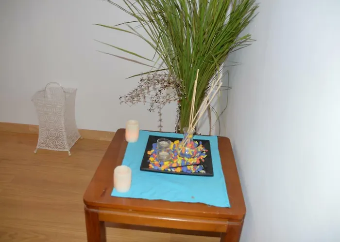 Anemona And Apartament