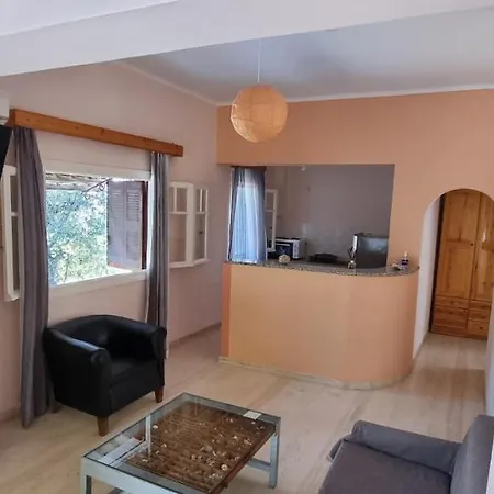 Anemona And Vasilikí