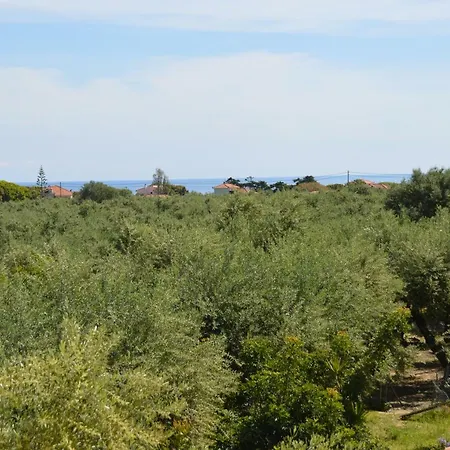 Anemona Apartments&studios Apartamento