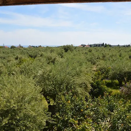 Appartement Anemona And *